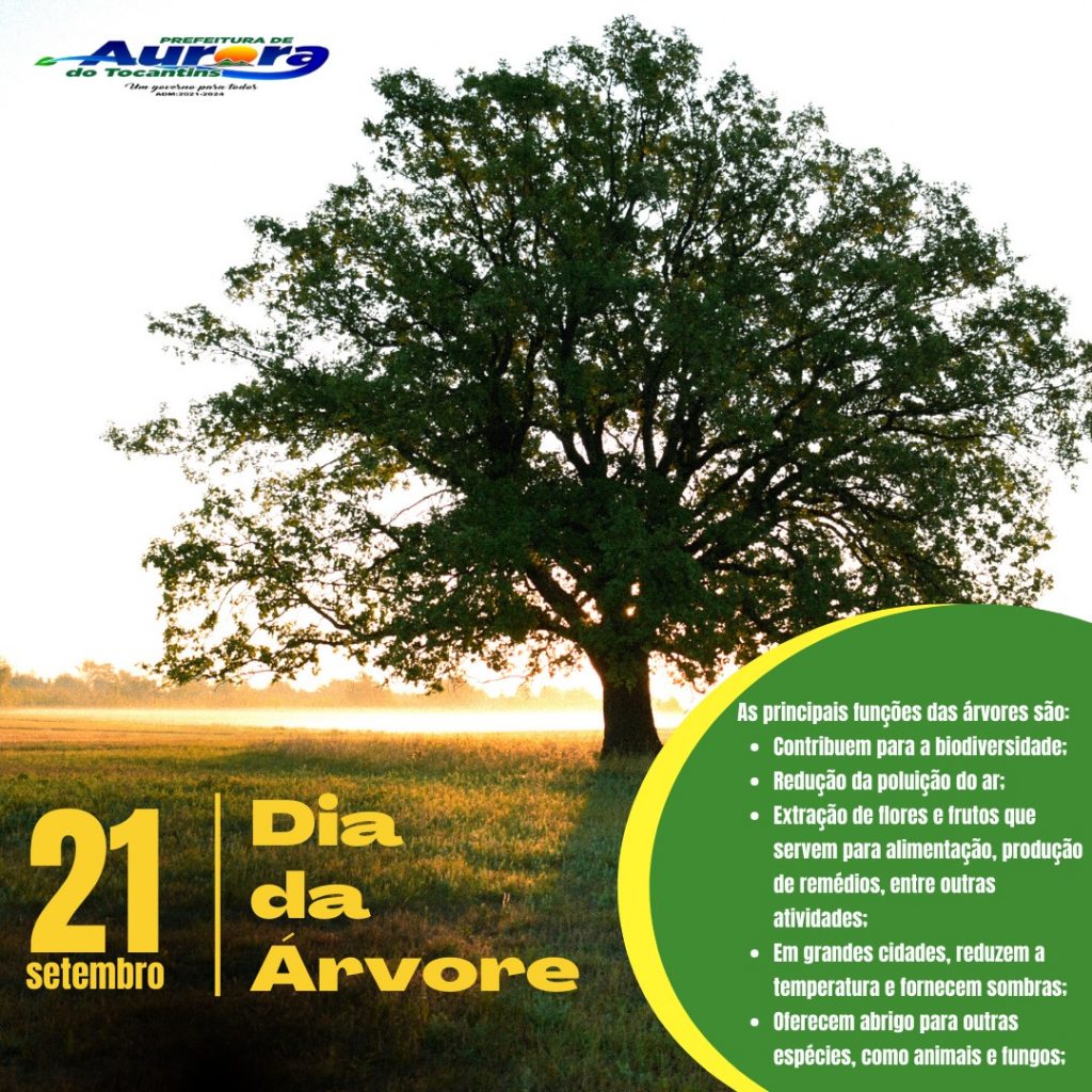 Semana Municipal de Árvore começa nesta terça (18) - PREFEITURA