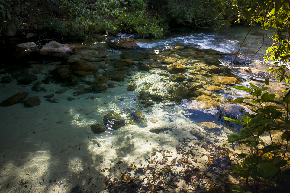 Praia do Pequizeiro e Praia do Puçá